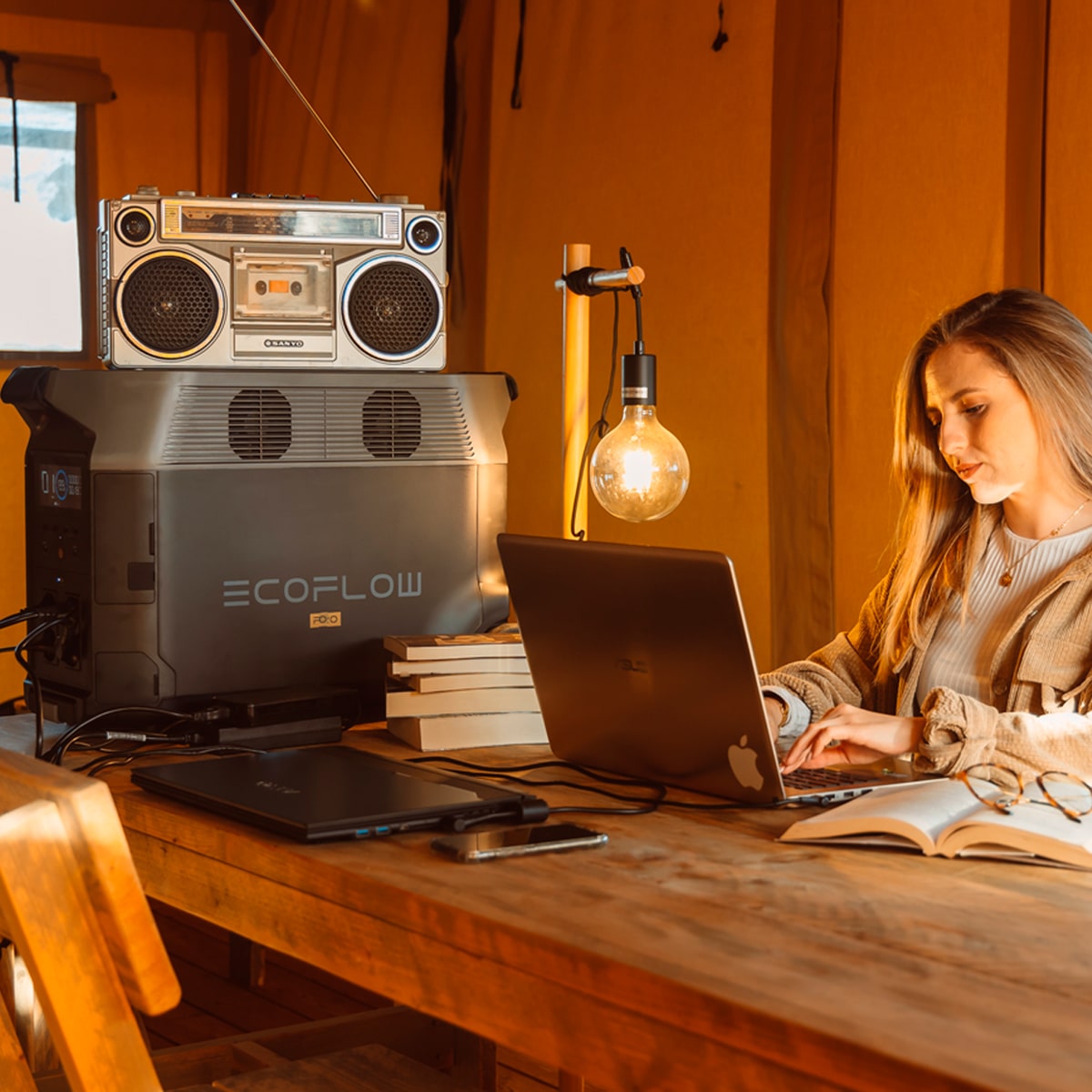 EcoFlow Delta Pro - 3600Wh - Image 12