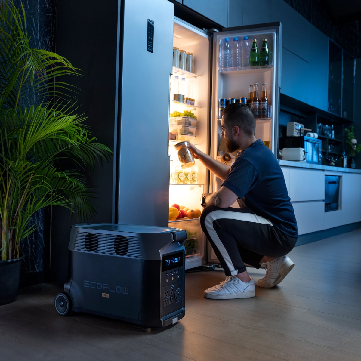 Power all your appliances with Delta Pro