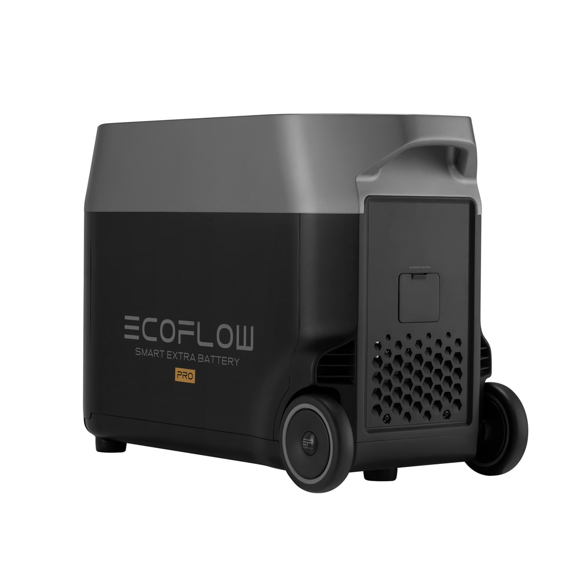 DELTA Pro Extra Battery