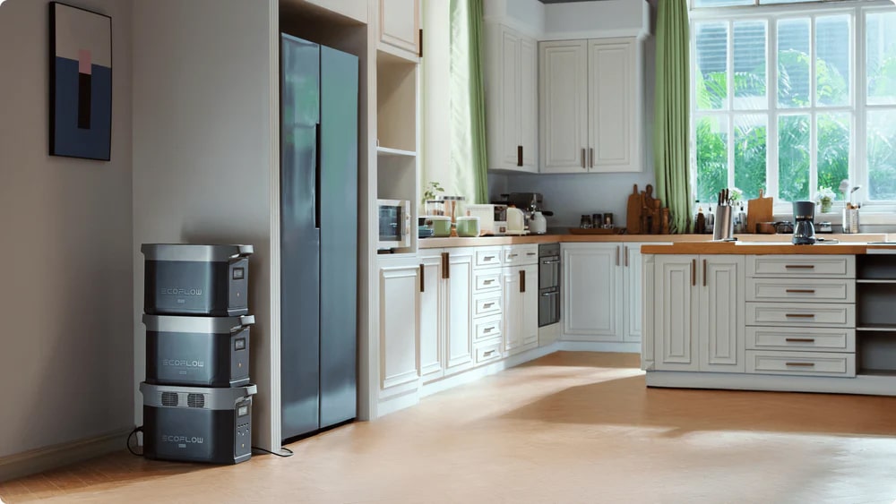 DELTA 2 Max Smart Extra Batteries