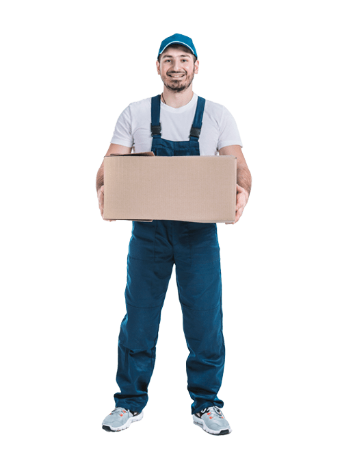 Free Shipping in the US